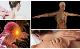 顱薦椎治療,Craniosacral Therapy,CST,顱薦椎,顱薦椎治療好轉現象,顱薦椎治療原理,顱薦骨,身心靈療癒,身心靈