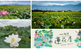 白河蓮花季,白河蓮花季一日遊,白河蓮花季時間,白河蓮花季市集,白河蓮花季活動,白河蓮花季 交通,白河蓮花季地址,白河蓮花季 地點,白河蓮花季,白河蓮花餐,白河蓮花花況,白河蓮花池,蓮花季節,蓮花季,白河,台南,台灣