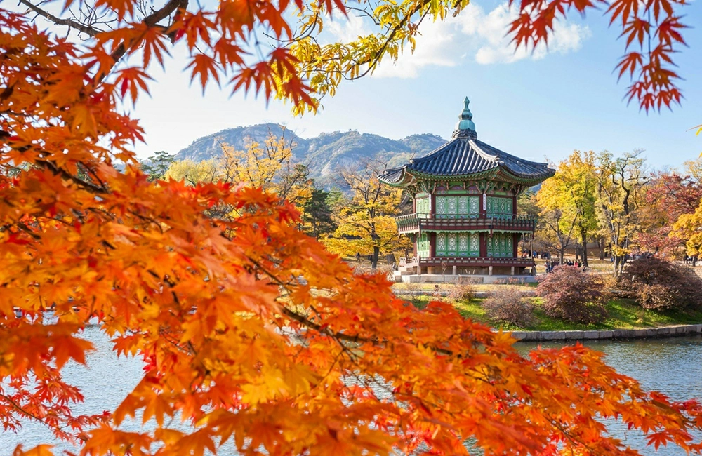 易遊網線上旅展,線上旅展,eztravel 易遊網線上旅展,易遊網,易遊網機票,易遊網折扣碼,易遊網訂機票,易遊網評價,易遊網環島之星價格,易遊網旅展