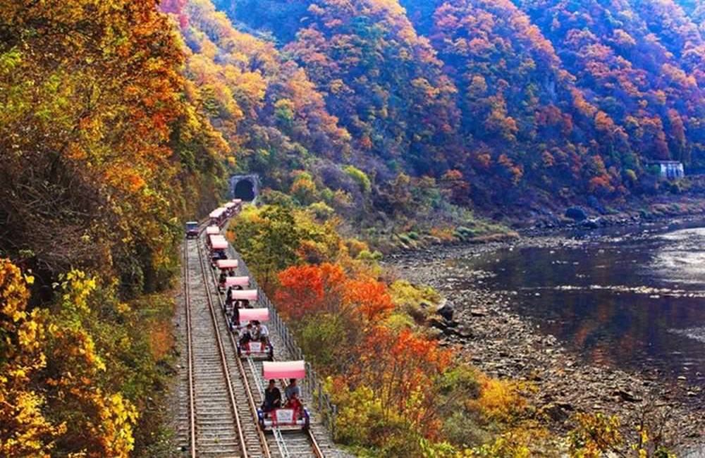 江村鐵路自行車,강촌레일파크,韓國賞楓,首爾近郊賞楓,韓國賞楓推薦,韓國賞楓時間,韓國賞楓,韓國賞楓團,韓國賞楓自由行,韓國賞楓景點,韓國賞楓季節,韓國賞楓日期,韓國賞楓預測,首爾賞楓時間,首爾賞楓自由行,首爾賞楓季節,首爾賞楓團,首爾賞楓景點