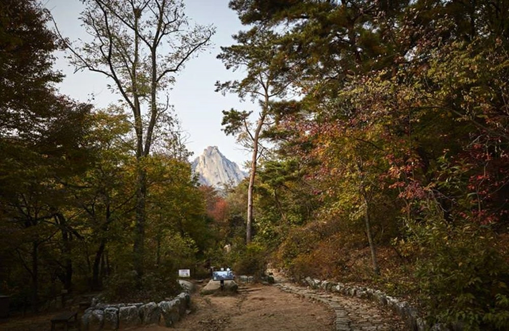 北漢山國立公園,북한산국립공원,韓國賞楓,首爾近郊賞楓,韓國賞楓推薦,首爾賞楓時間,首爾賞楓自由行,首爾賞楓季節,首爾賞楓團,首爾賞楓景點