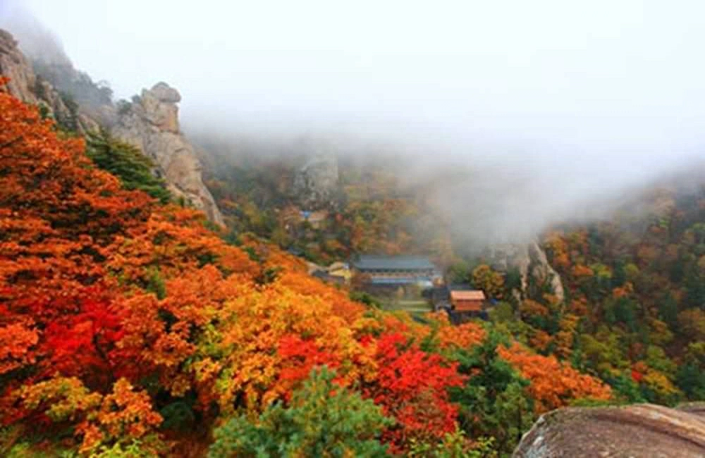 雪嶽山國家公園,설악산국립공원,韓國賞楓,首爾近郊賞楓,韓國賞楓推薦,韓國賞楓時間,韓國賞楓,韓國賞楓團,韓國賞楓自由行,韓國賞楓景點,韓國賞楓季節,韓國賞楓日期,韓國賞楓預測,首爾賞楓時間,首爾賞楓自由行,首爾賞楓季節,首爾賞楓團,首爾賞楓景點
