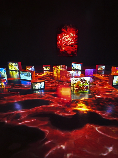 蜷川實花展2026:日本京都爆紅!展覽海外首站登台灣台北華山 - Travel x Freedom 旅誌字遊 threeonelee.com 蜷川實花展覽2026 華山1914文創園區 光影展 《生命的呼吸》Breathing of Lives 圖片