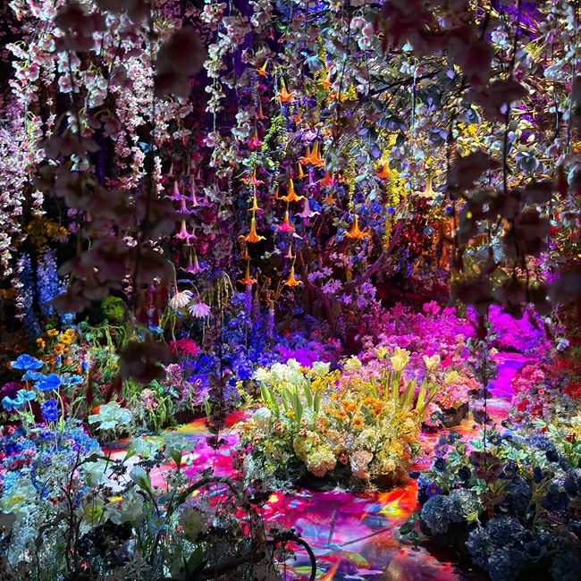 蜷川實花展2026:日本京都爆紅!展覽海外首站登台灣台北華山 - Travel x Freedom 旅誌字遊 threeonelee.com 蜷川實花展覽2026 華山1914文創園區 光影展 《深淵彼岸的夢》Dreams of the Beyond in the Abyss 圖片