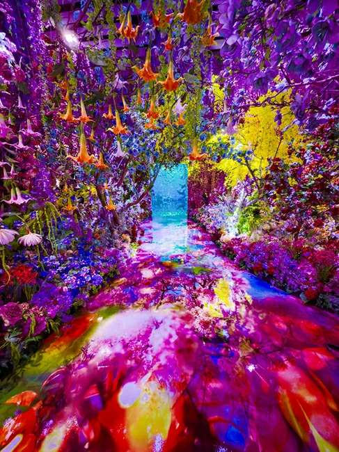 蜷川實花展2026:日本京都爆紅!展覽海外首站登台灣台北華山 - Travel x Freedom 旅誌字遊 threeonelee.com 蜷川實花展覽2026 華山1914文創園區 光影展 從京都盛放到台北綻開 圖片