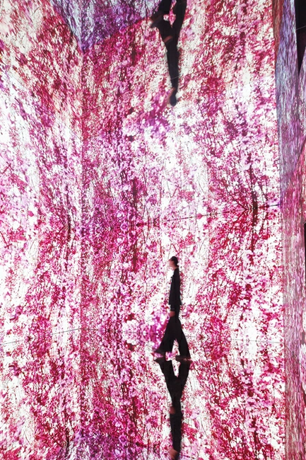 蜷川實花展2026:日本京都爆紅!展覽海外首站登台灣台北華山 - Travel x Freedom 旅誌字遊 threeonelee.com 蜷川實花展覽2026 華山1914文創園區 光影展 蜷川實花展覽台灣2026介紹 圖片