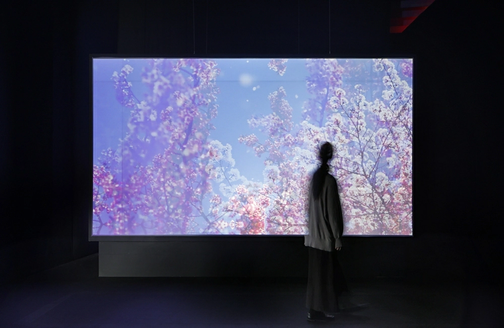 蜷川實花展2026:日本京都爆紅!展覽海外首站登台灣台北華山 - Travel x Freedom 旅誌字遊 threeonelee.com 蜷川實花展覽2026 華山1914文創園區 光影展 《綻放的情感》Blooming Emotions 圖片