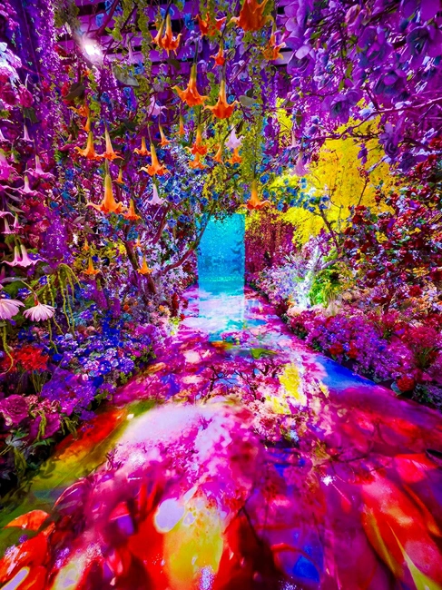 沉浸式展覽：蜷川實花展「彼岸之光，此岸之影」沉浸式光影空間